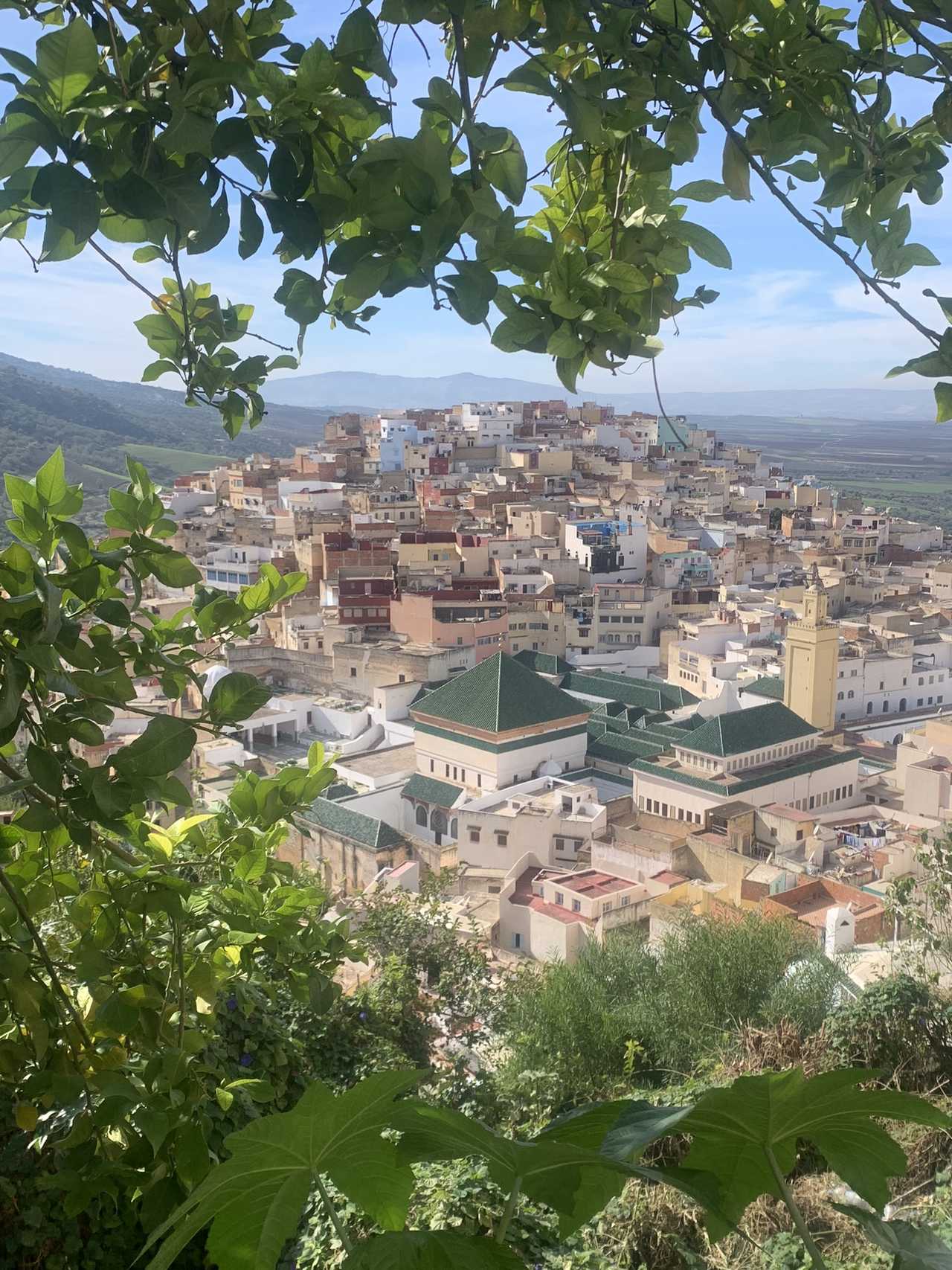 La ville sainte de Moulay Idriss