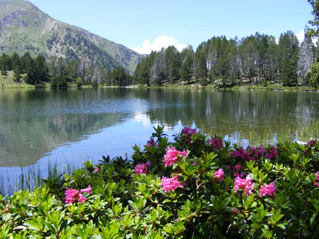 lac dans les montagnes de Cerdagne dans les Pyrénées