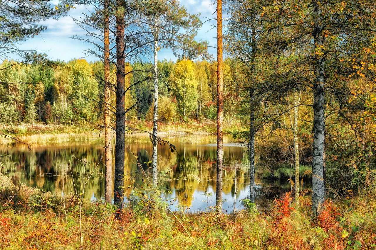 Lac des forêts finlandaises lors des randonnées