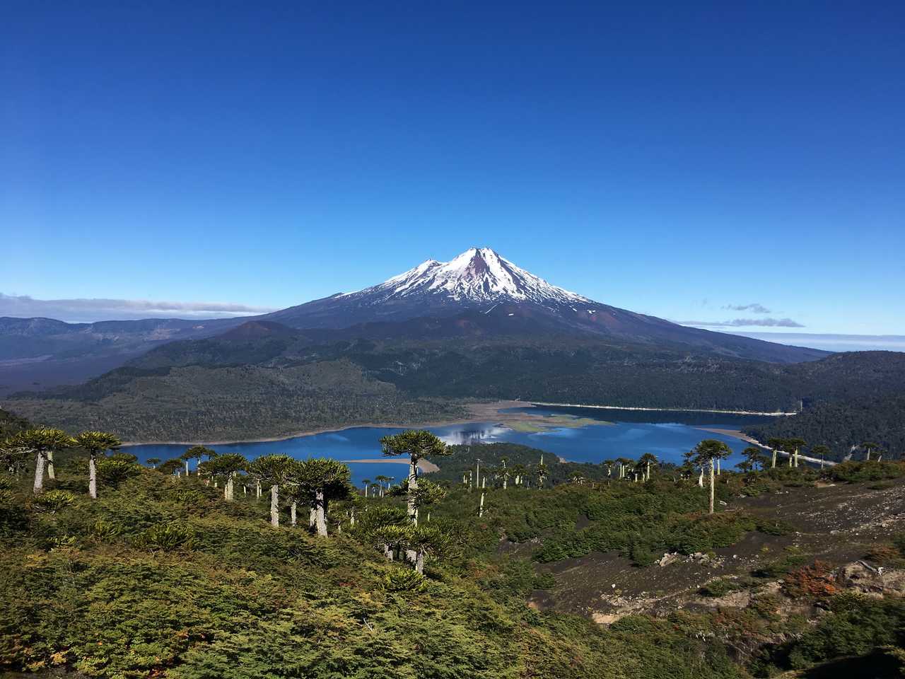 Lac et volcan dans la région de la Araucania au Chili