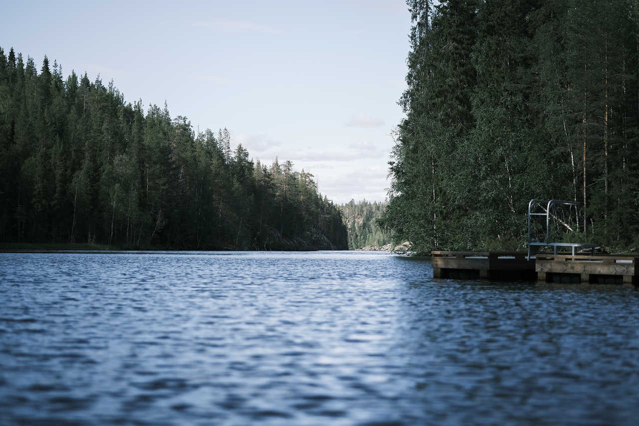 Lac finlandaise en laponie l'été