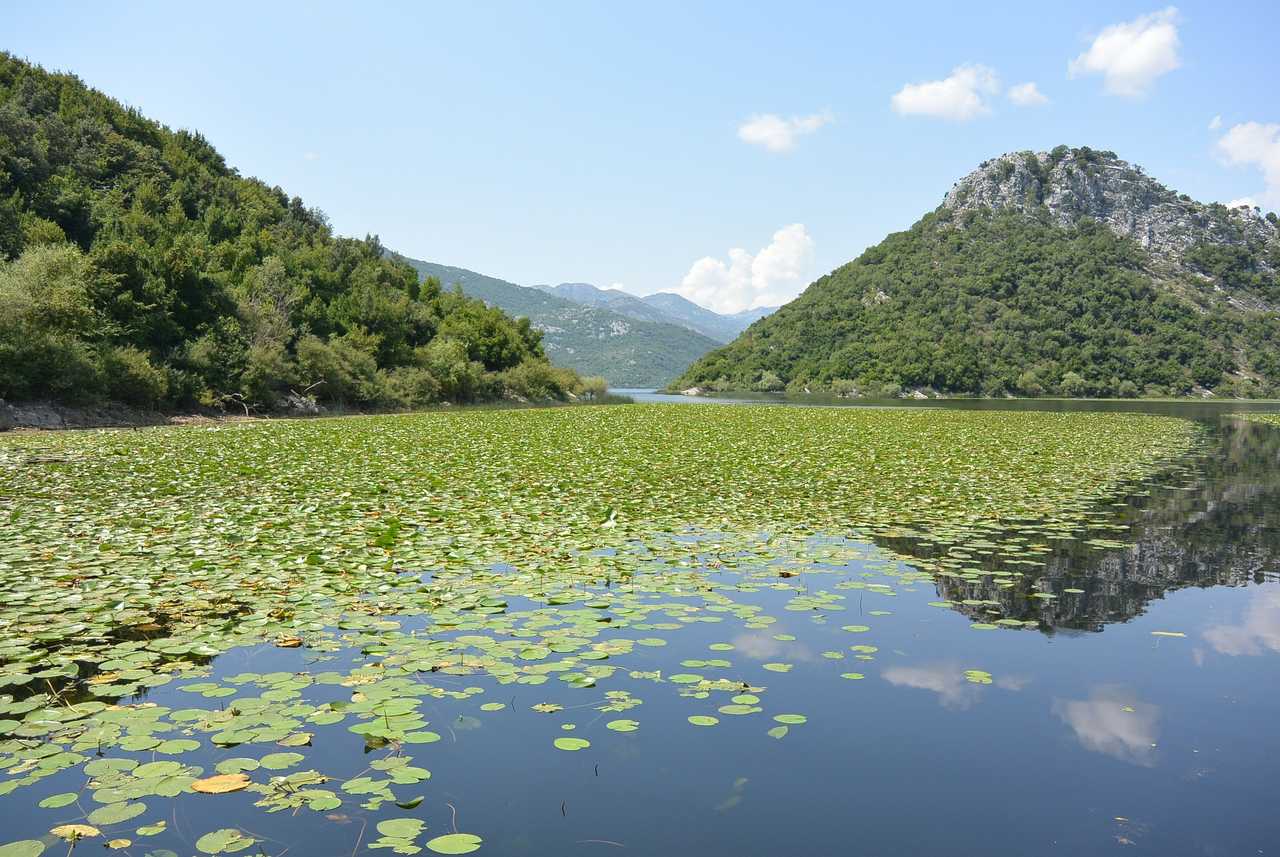 Lac Skadar, Montenegro