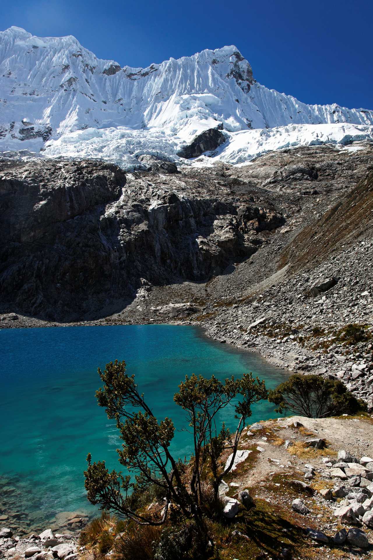 Lac turquoise et glacier, dans la cordillère blanche