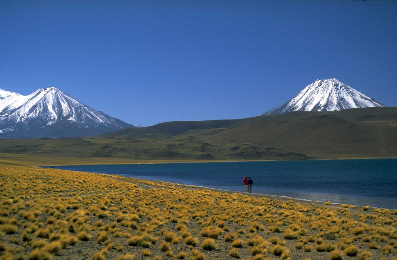 Laguna Miscanti sur l'altiplano dans le désert d'Atacama