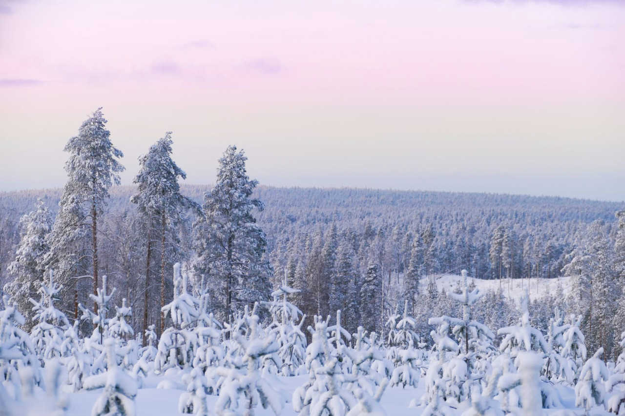Laponie l'hiver, Finlande