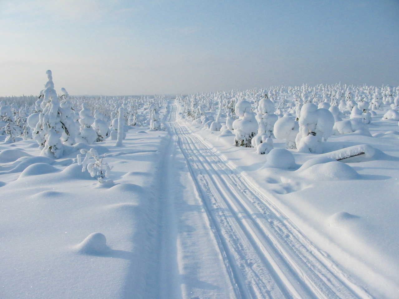 Laponie sous la neige