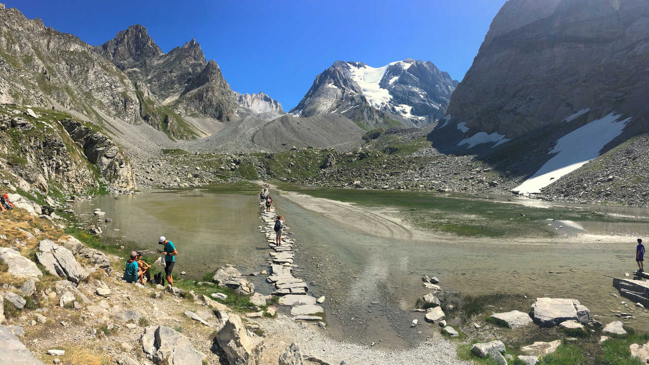 Le Lac des Vaches et le glacier de la Grande Casse, Parc National de la Vanoise, Alpes du Nord