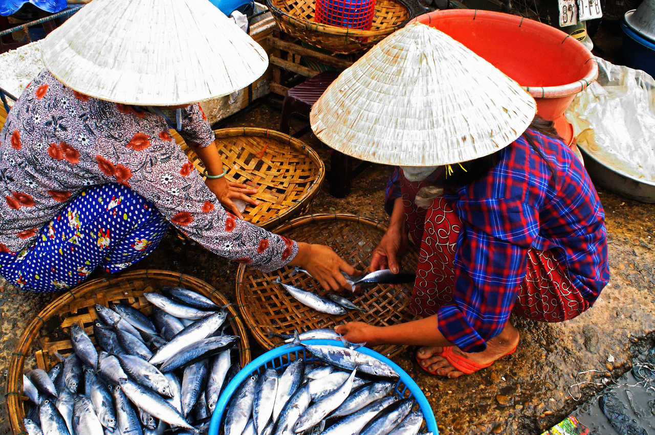 Le marché aux poissons au Vietnam