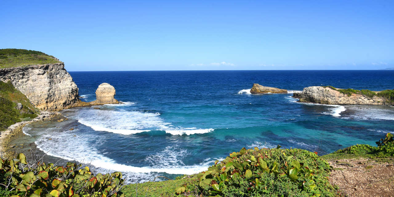 Le moule en Guadeloupe