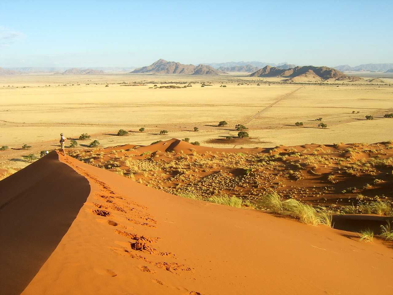 Le paysage à perte du vue du sommet d'une dune du désert du Namib