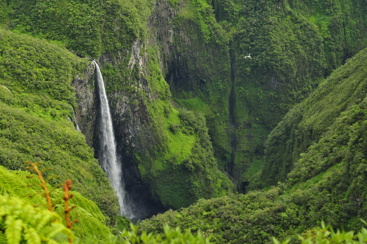 La cascade Le Trou de Fer dans l'île de la Réunion