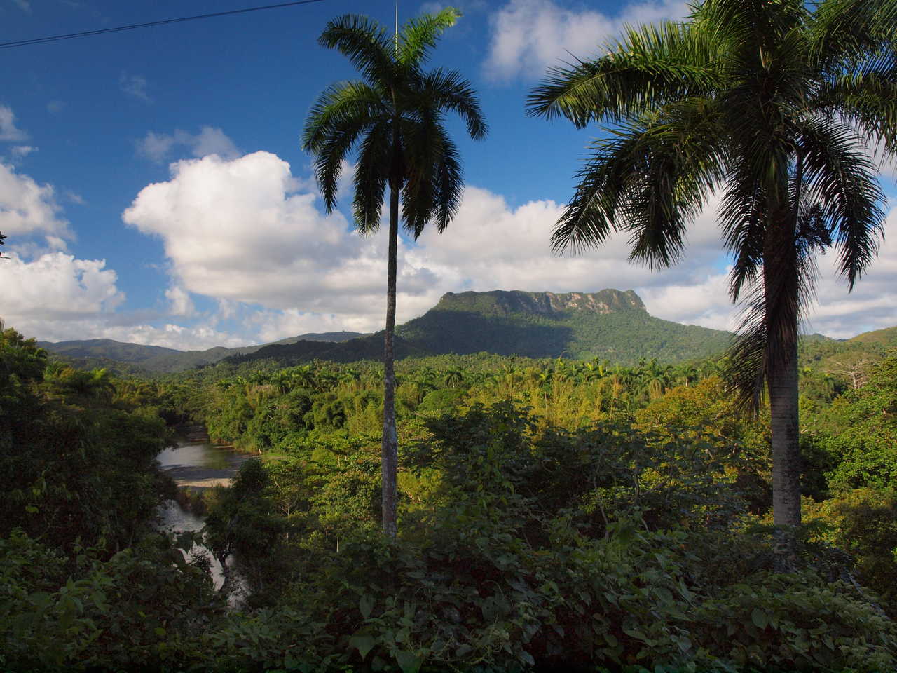 le Yunque