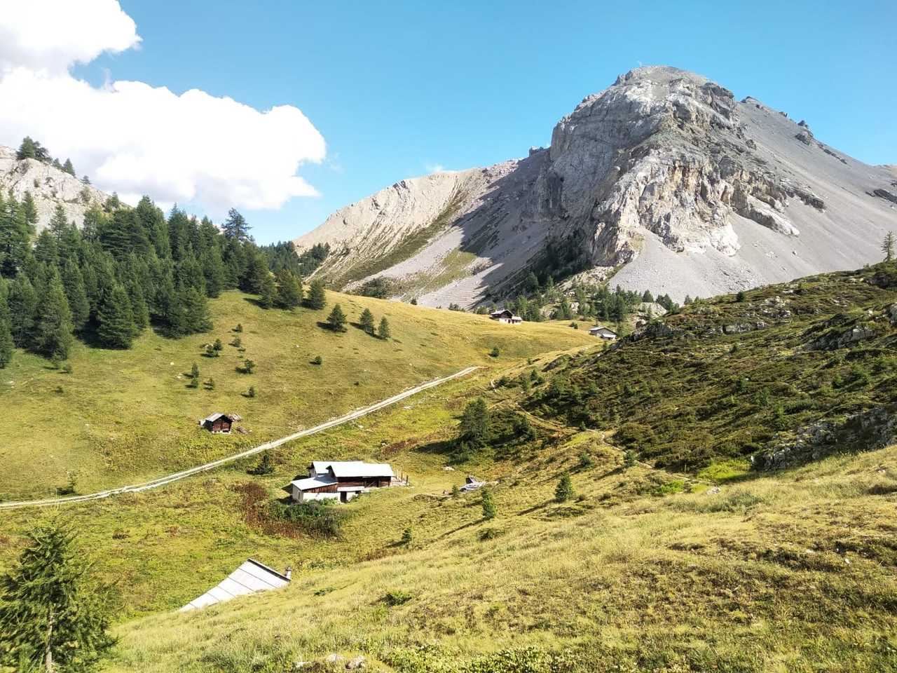 Les alpages des balcons du Queyras