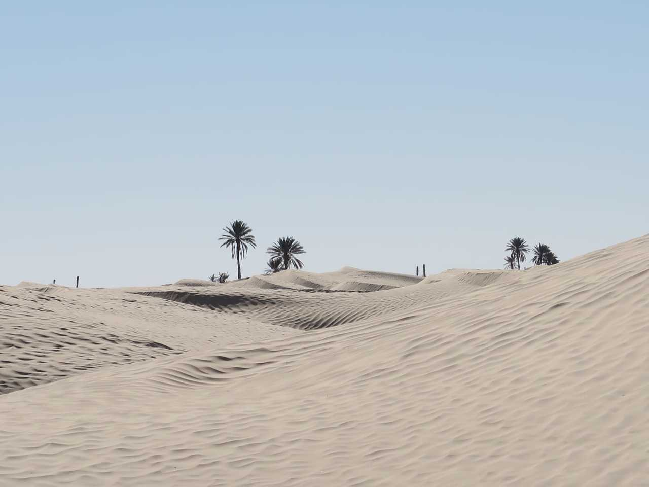 Les dunes de l'Erg Oriental