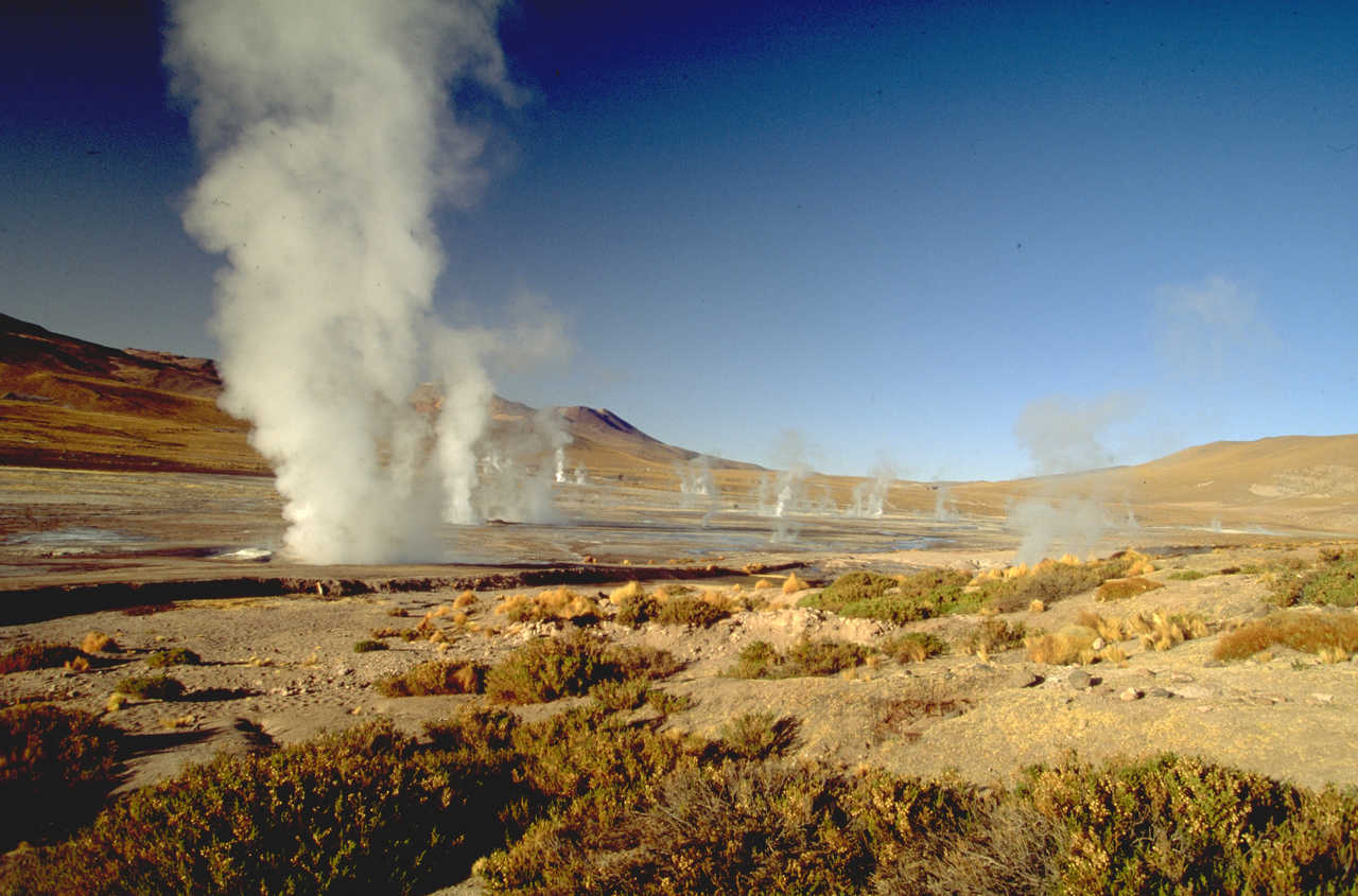 Les geysers de Tatio dans le désert d'Atacama