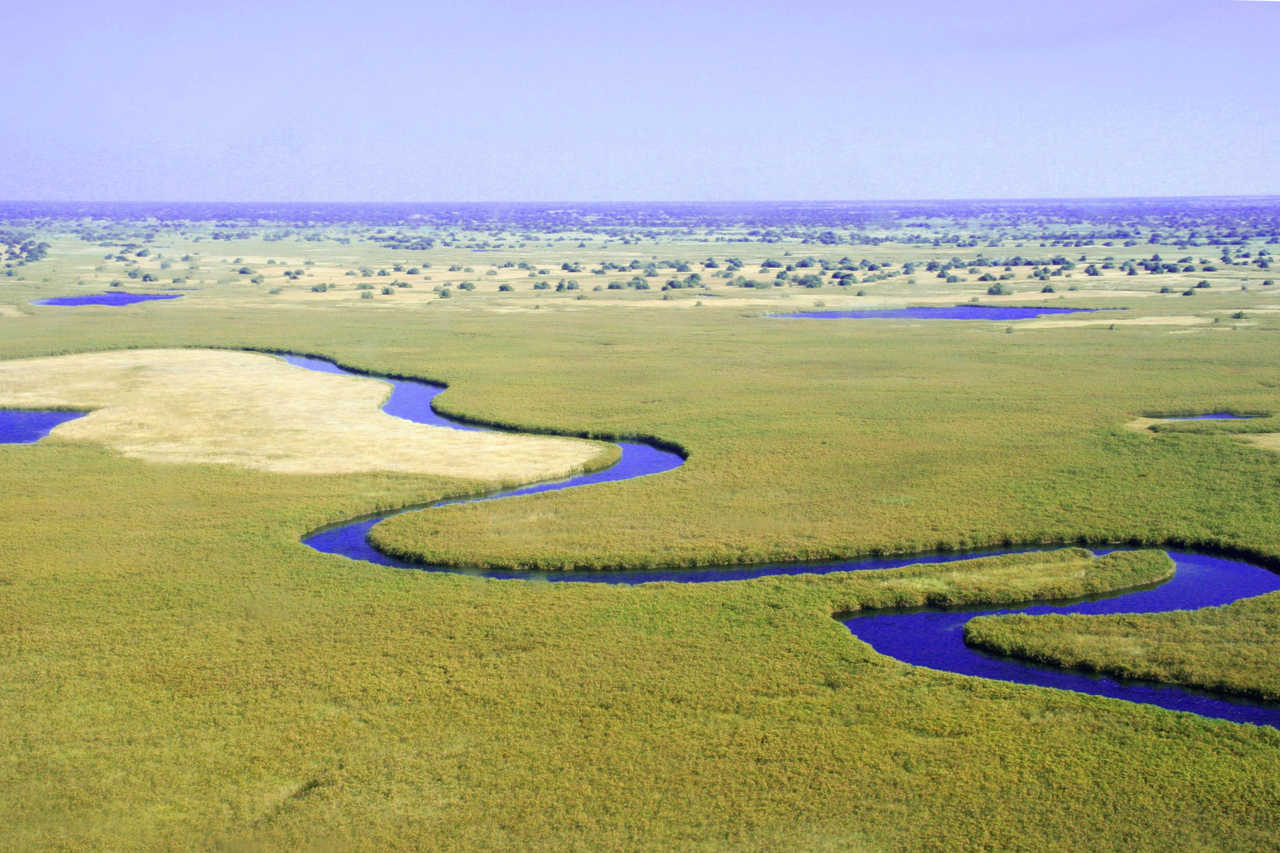 delta Okavango botswana