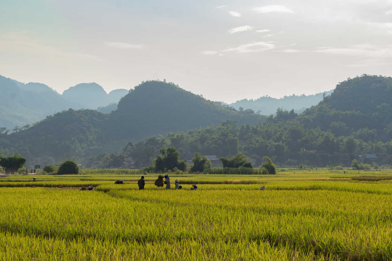 Les paysages de la région de Mai Chau