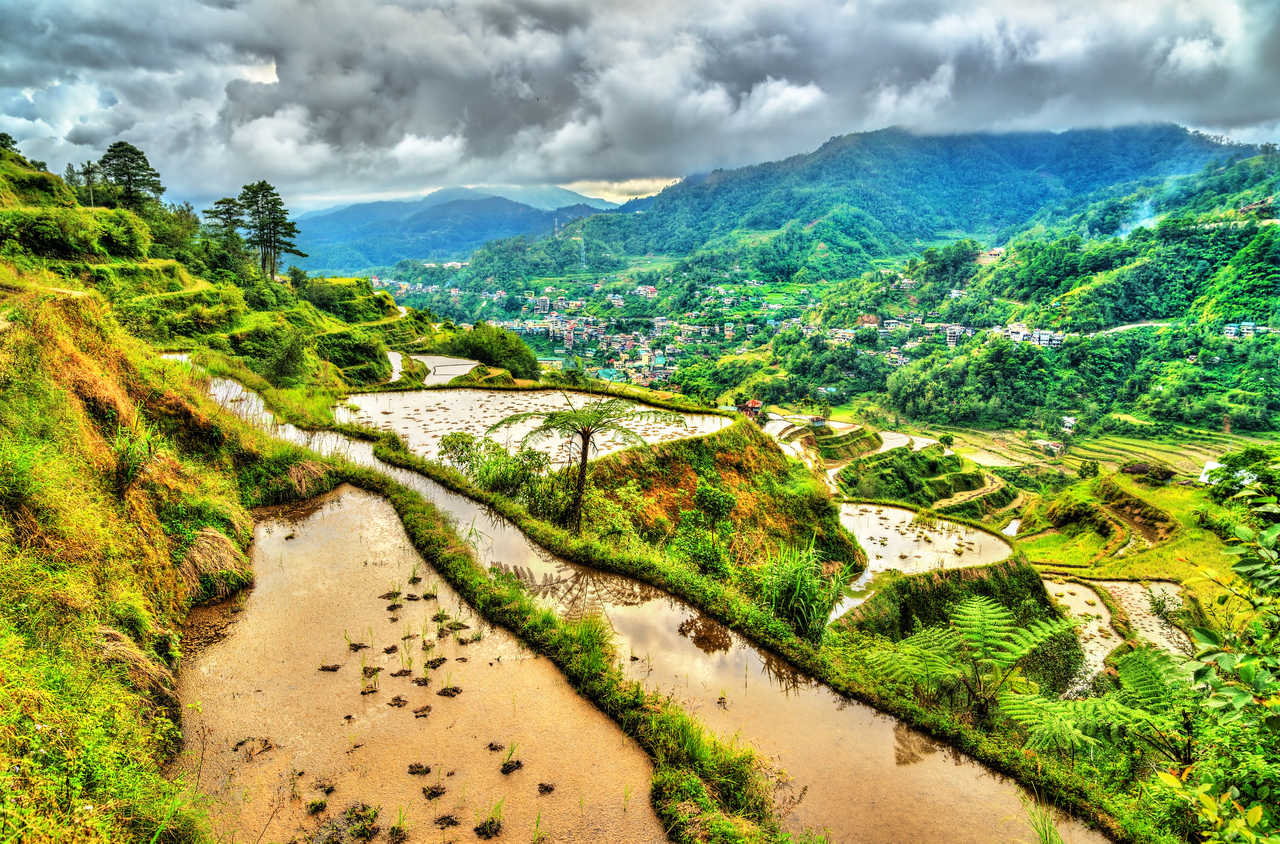 Les rizières de Banaue, Nord Luzon, Philippines