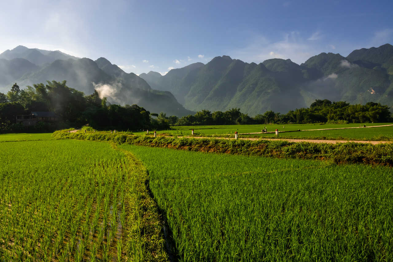 Les rizières de Mai Chau entouré des pitons karstiques au Vietnam
