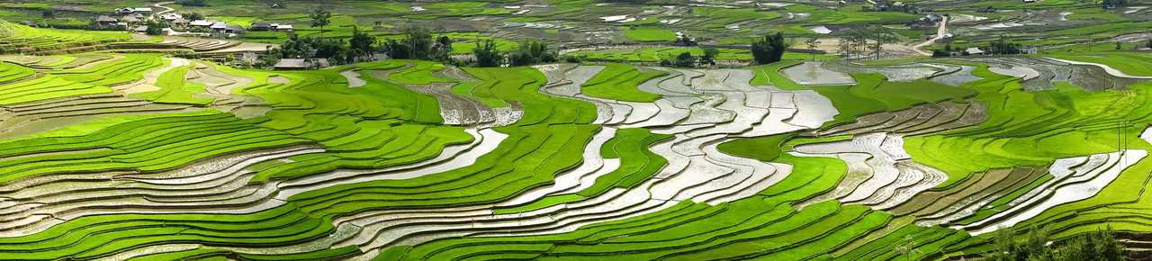 Les rizières du nord Vietnam