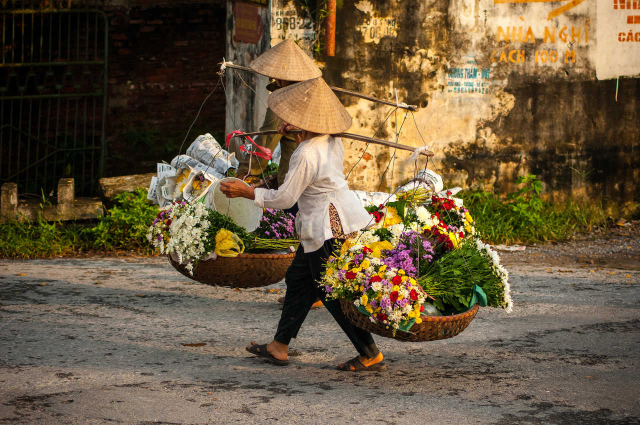 Les vendeuses de fleurs à Ha noi