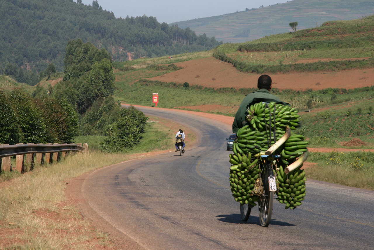 Livreur de bananes à vélo, Koug Durur au Kenya