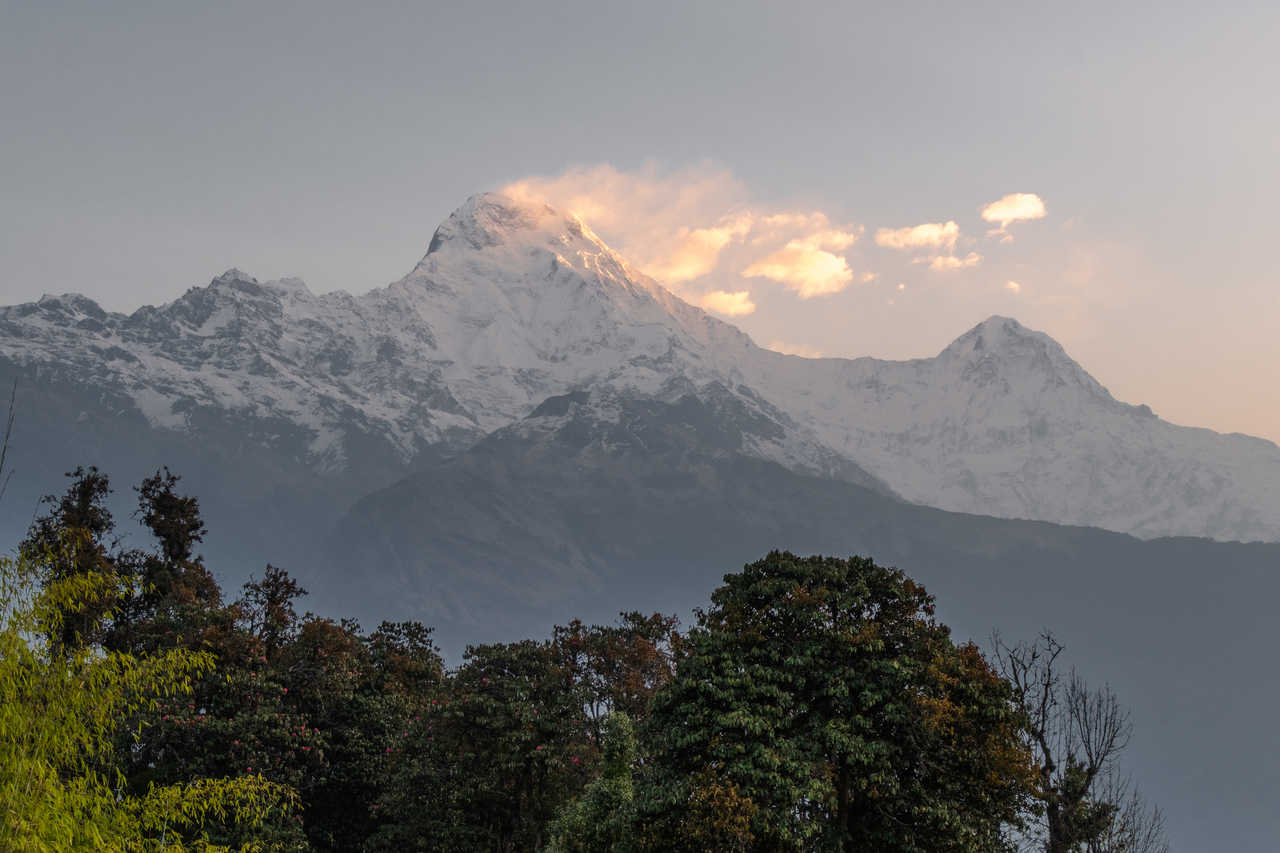 Machapuchare Montagne au Népal