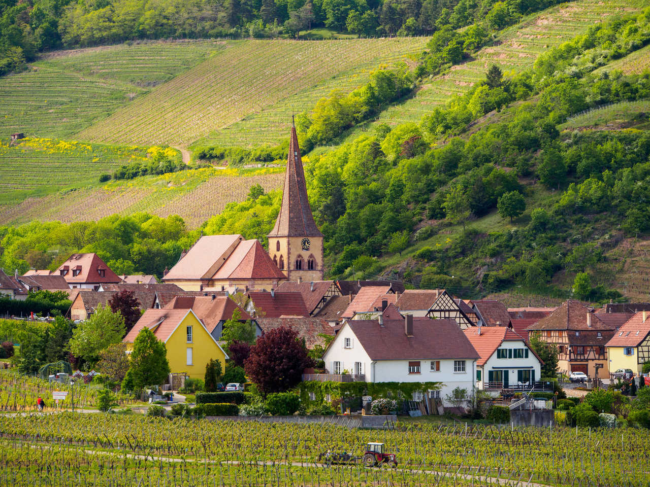 maisons médiévales du village vallonné de Niedermorschwihr. Haut Rhin, France