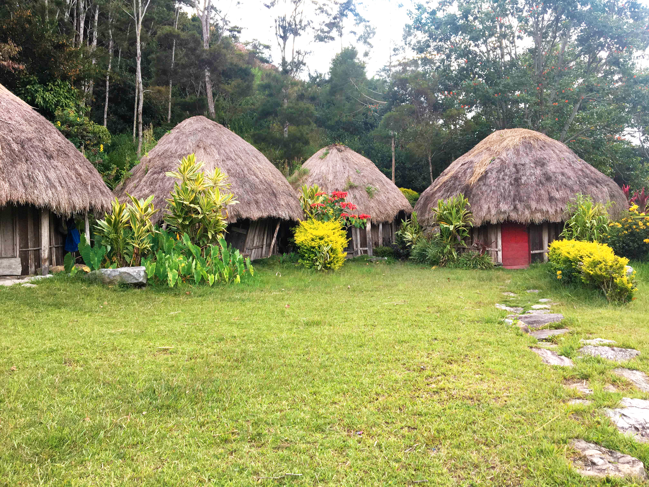 Maisons traditionnelles, Vallée de Baliem, Papouasie, Indonésie