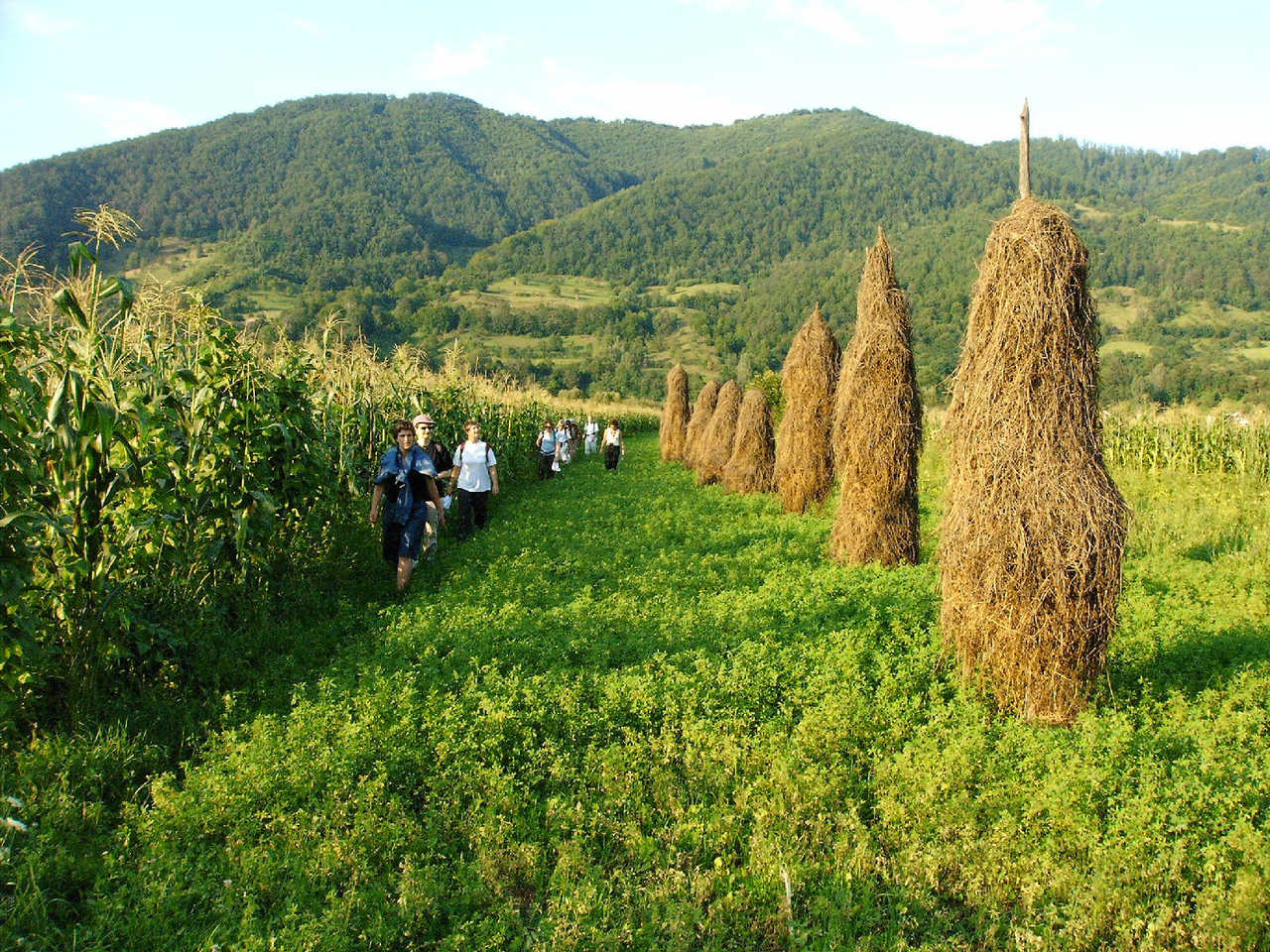 Maramures, randonnée dans les collines de la rivière Iza