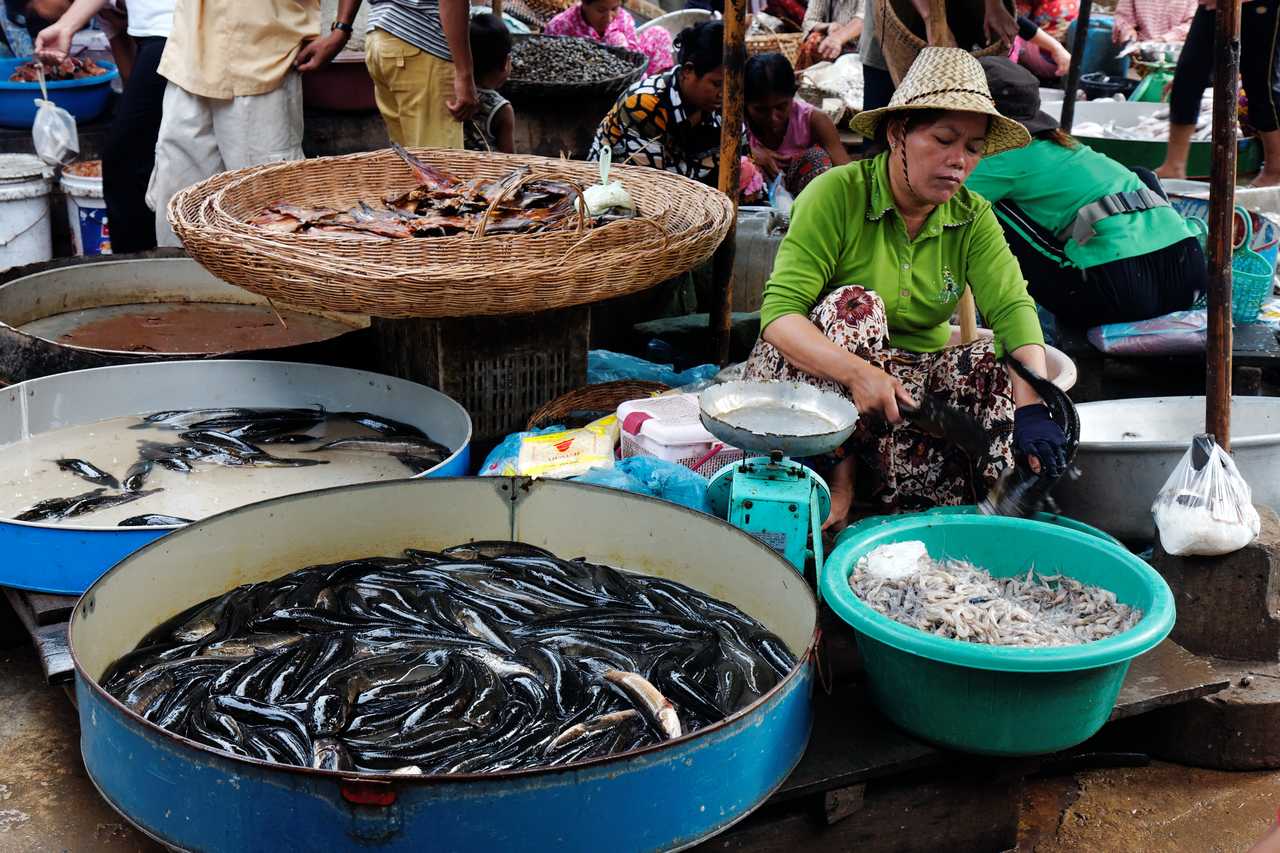 marché au poisson au Cambodge