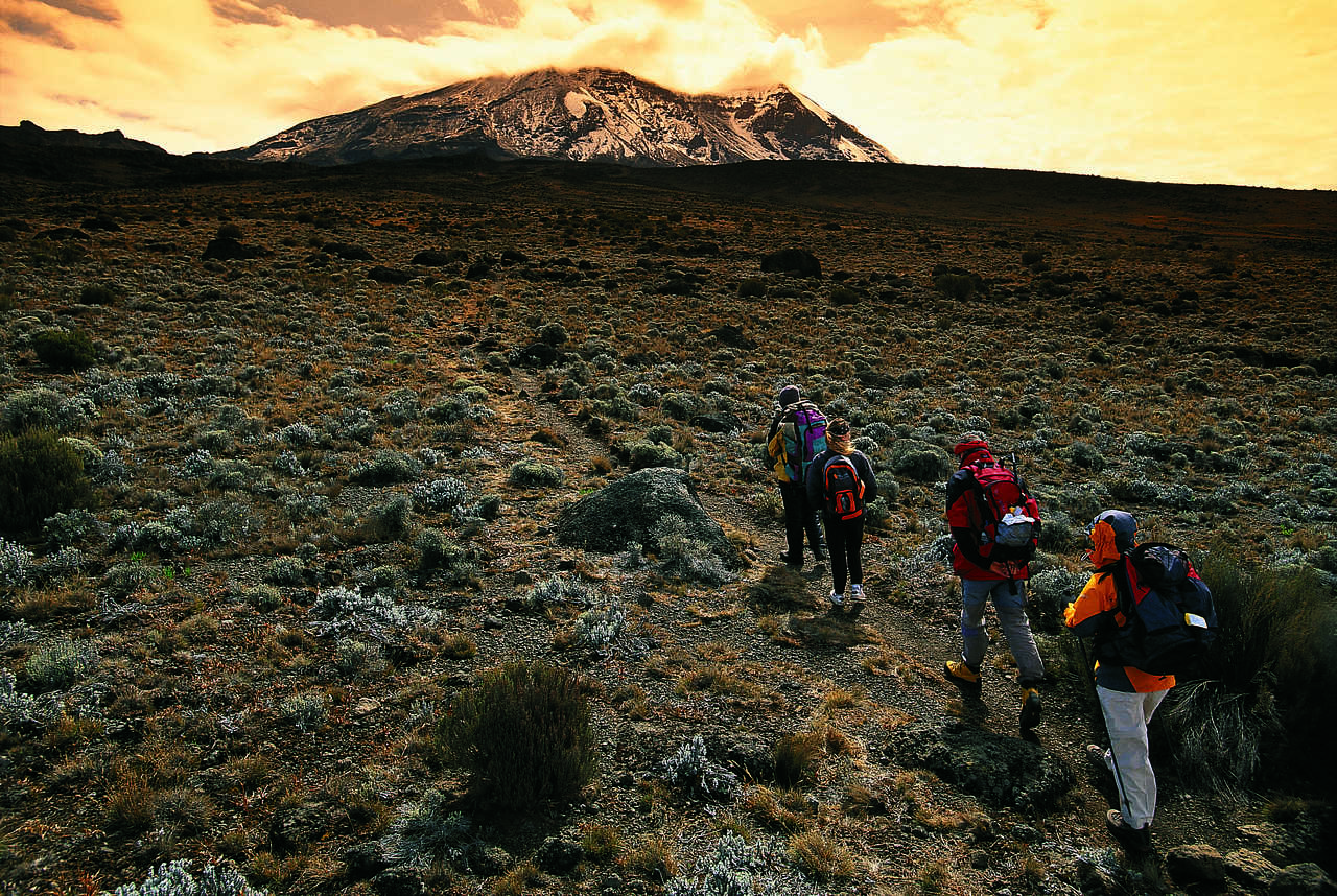 Marche d'approche vers les sommets du Kilimandjaro Tanzanie