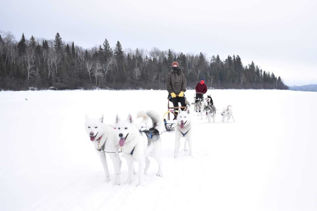 Marion Pinon en chien de traîneau au Québec