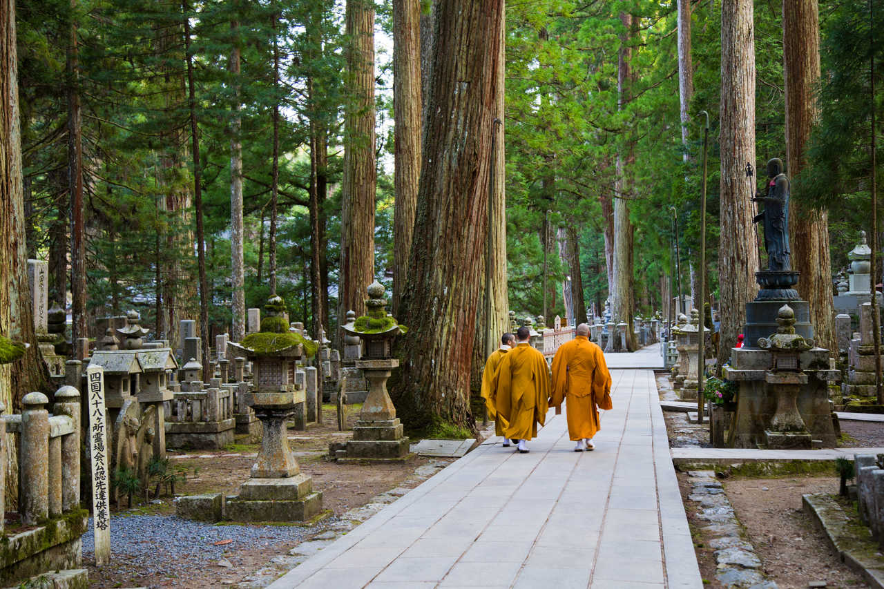 Moines bouddhistes marchant entourés de cèdres dans un temple à Koyasan © Julia Possoz Moines bouddhistes marchant entourés de cèdres dans un temple à Koyasan