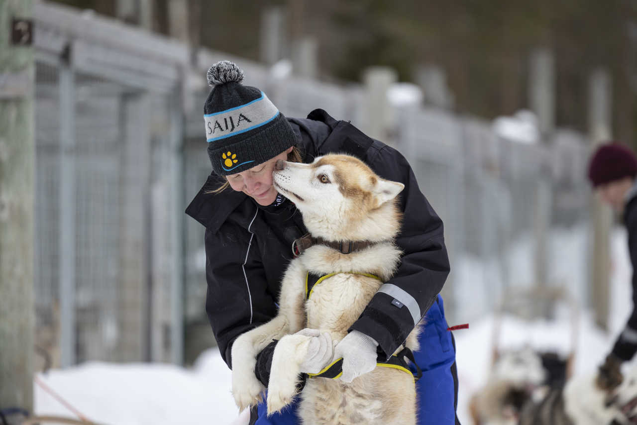 Moment câlin avec les huskies de Saija Lodge