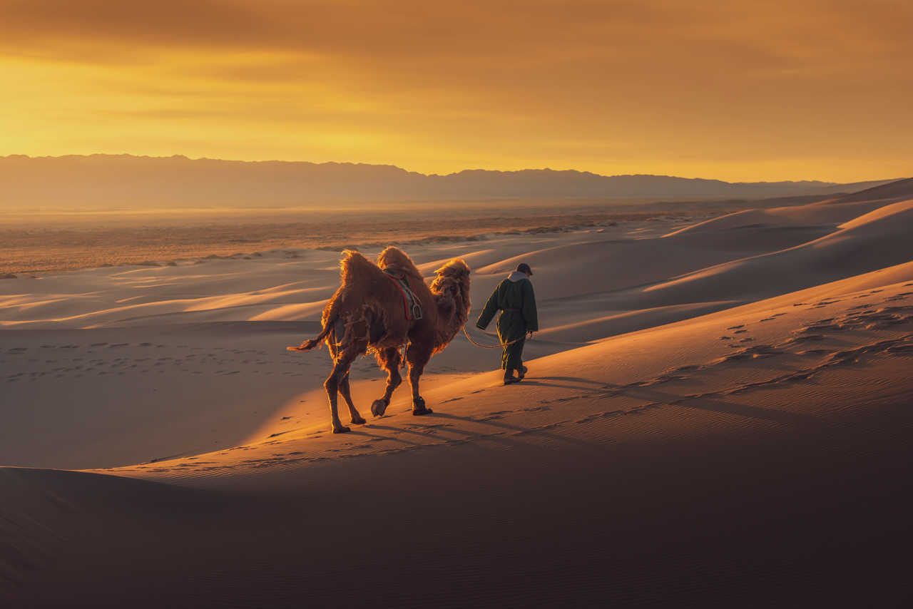 Mongol et son chameau dans le désert de Gobi en Mongolie