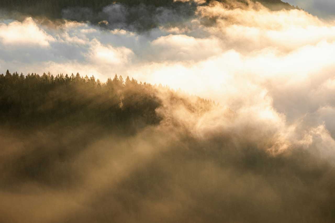 montagne-couverte-de-brume-belchen