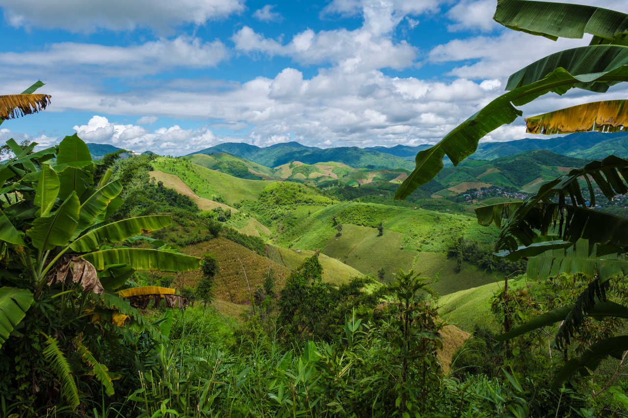 Montagnes en Thaïlande à Chang Rai