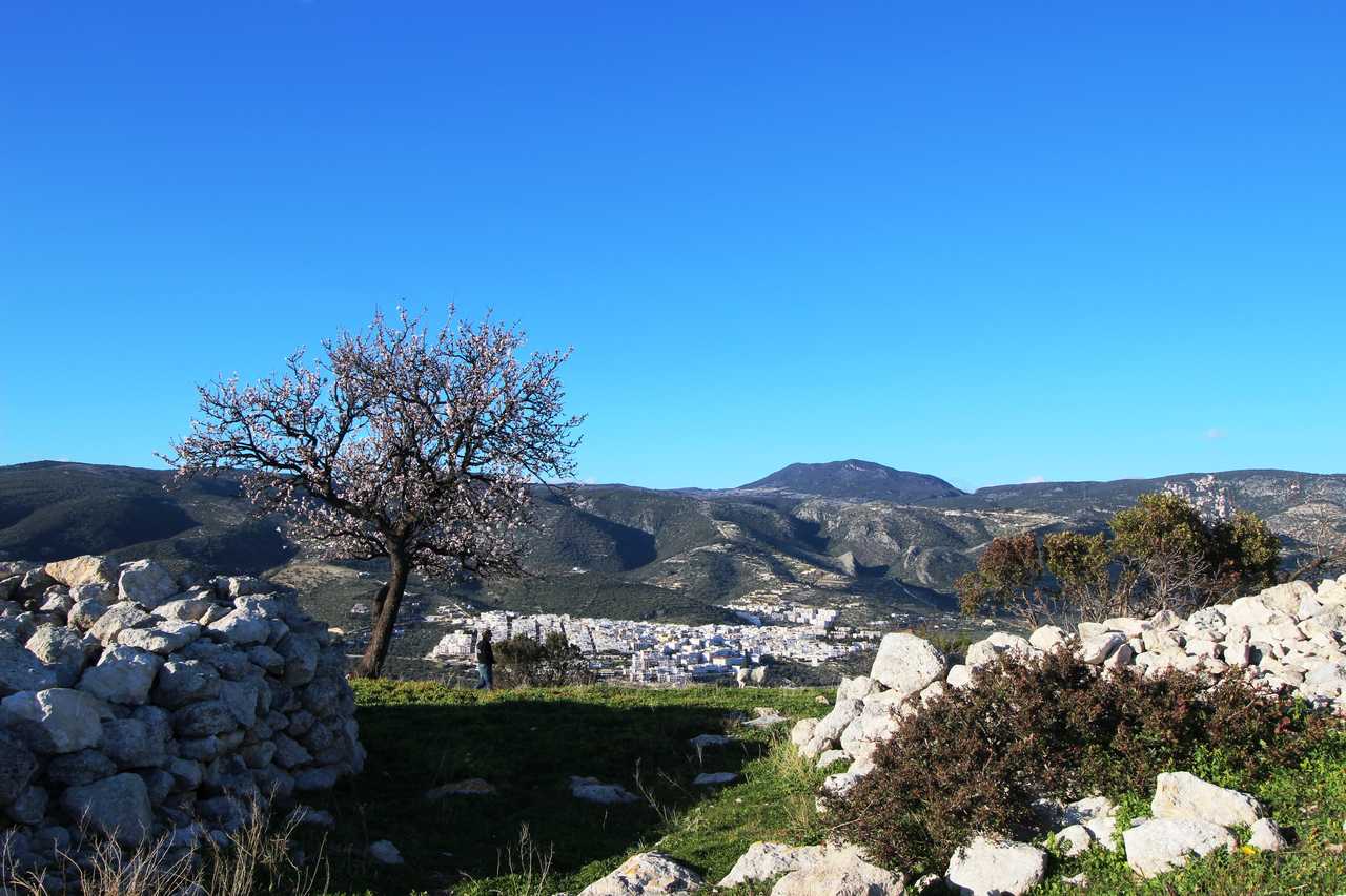 Monte Saraceno