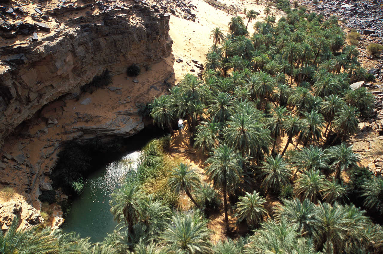 Image Trek dans les oasis luxuriantes de l'Adrar
