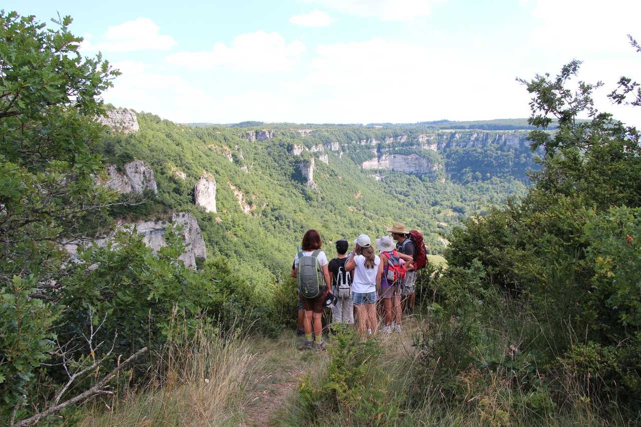 Observation de la flore et de la faune dans les Grands Causses, Aveyron