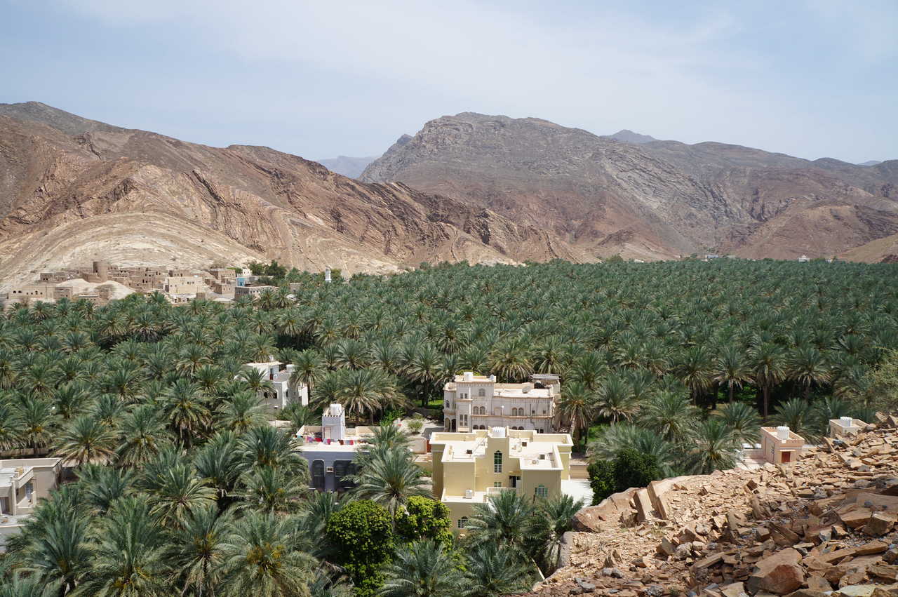 Palmeraie de Birqat al Mows, Oman
