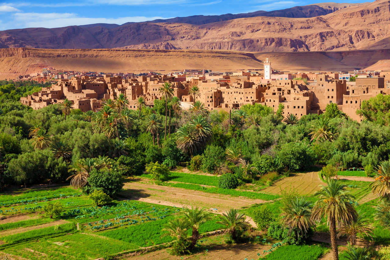 Palmeraie de Tinerhir, vallée du Dades, Maroc