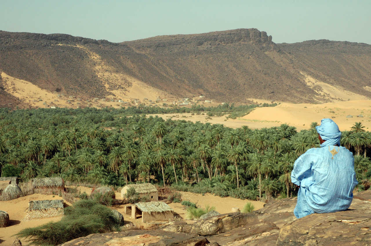 Palmeraie de Toungad, Mauritanie