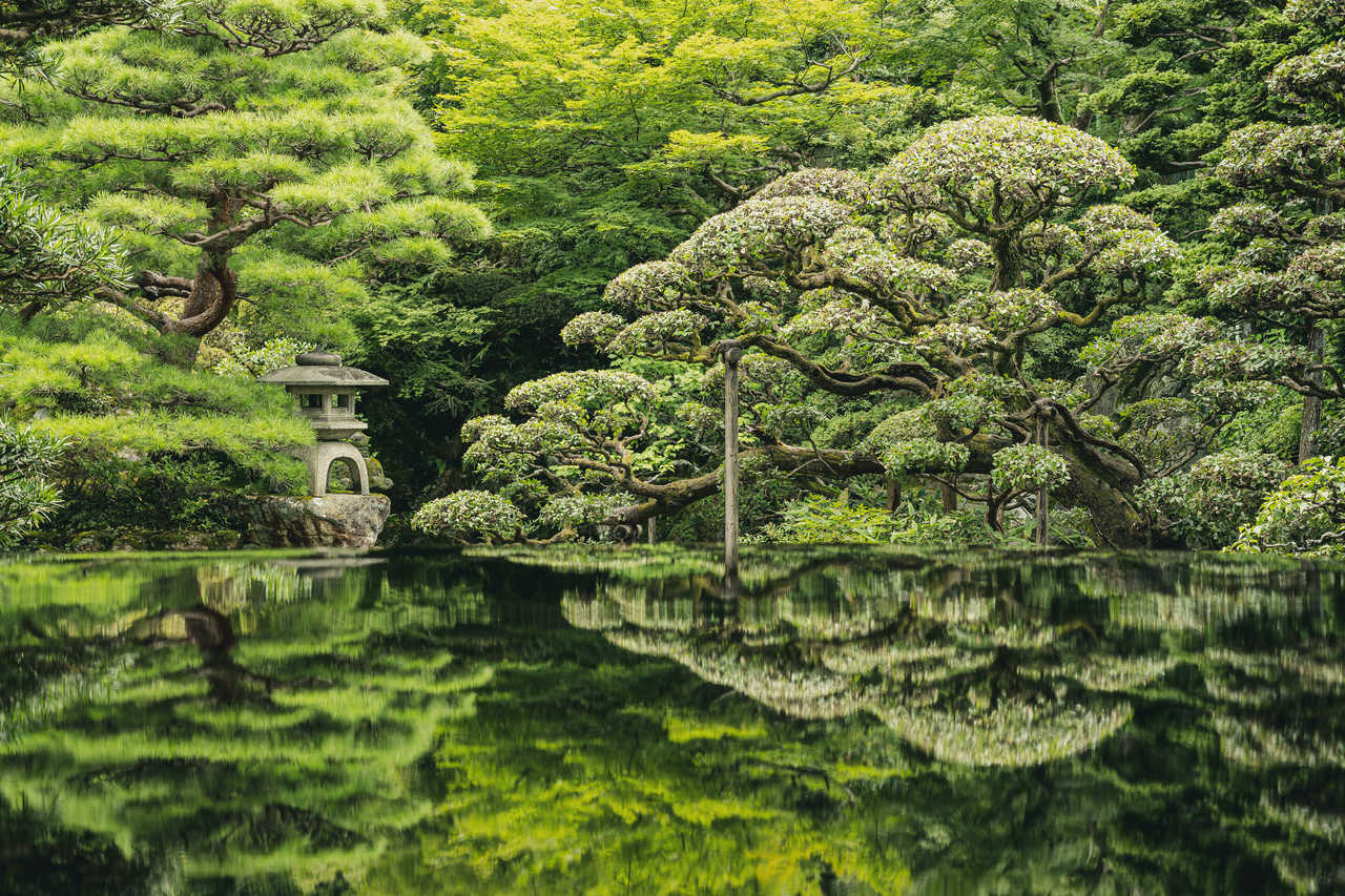 Parc verdoyant et son lac au Japon