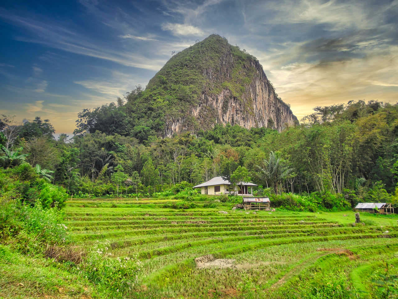 Pays Toraja sur l'île de Sulawesi en Indonésie