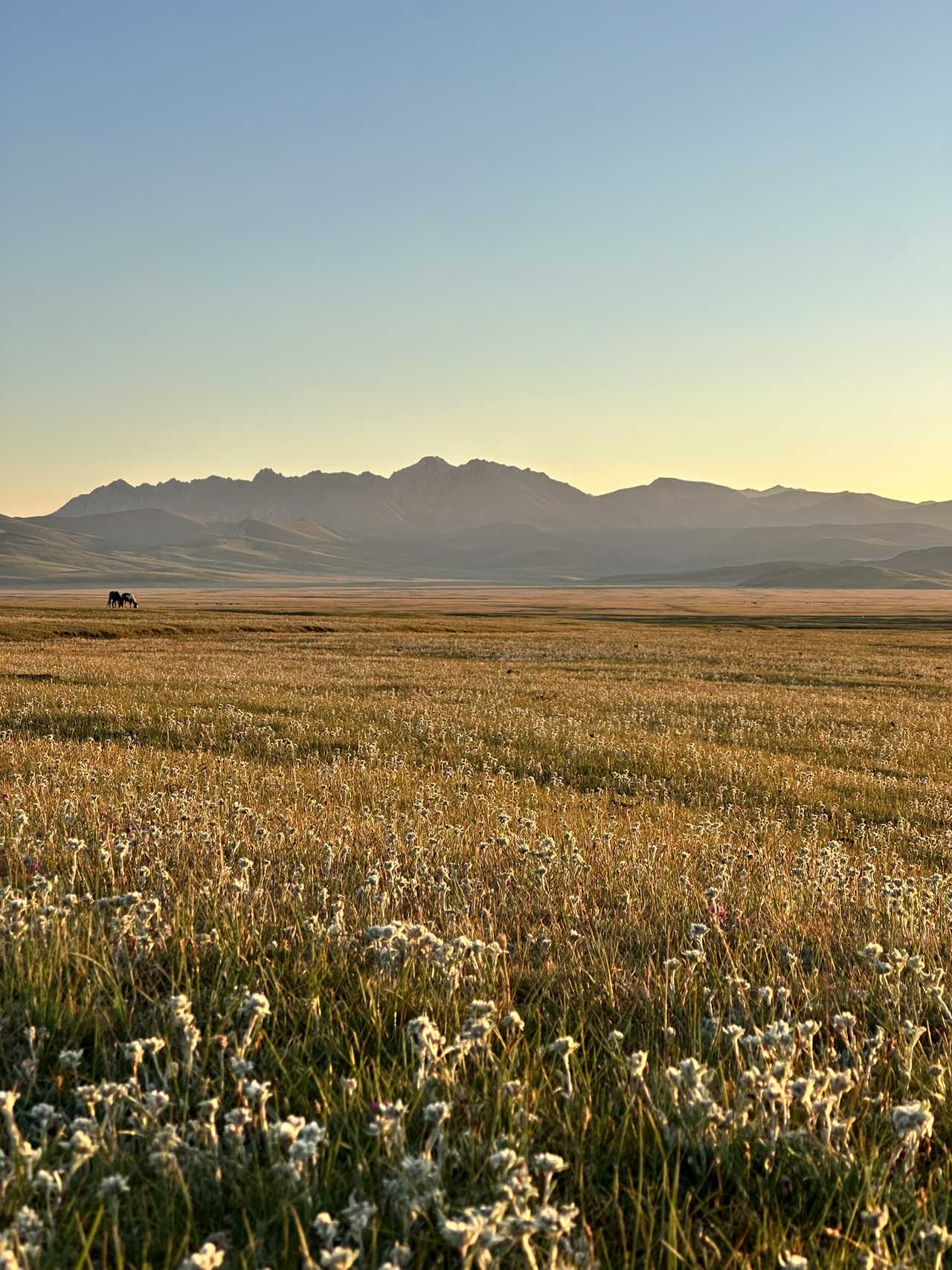Paysage au abord du lac de Song  Koul en Kirghizie © Pollet Louise Paysage au abord du lac de Song  Koul en Kirghizie