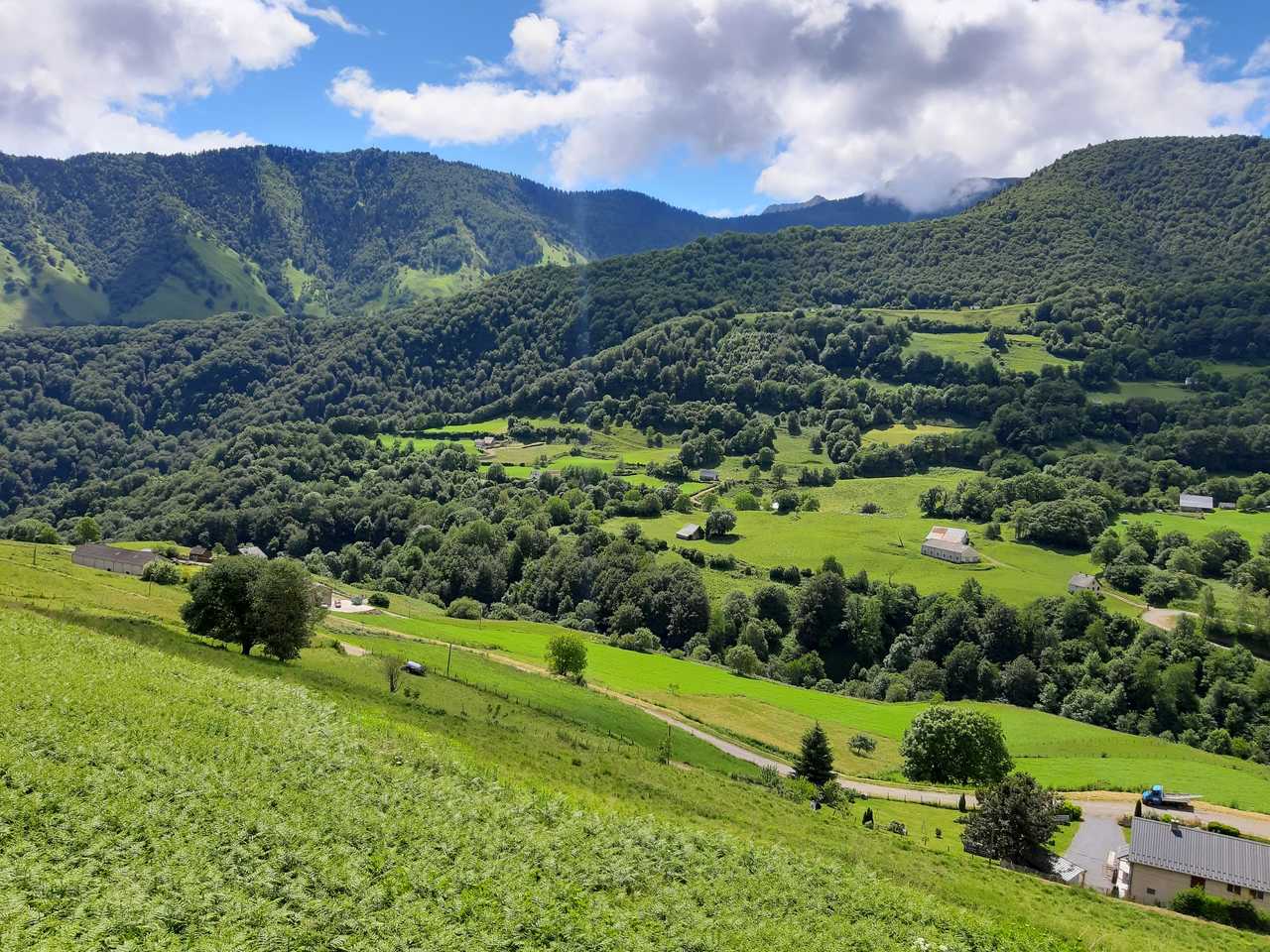 Paysage de la Vallée d'Aspe, Pyrénées