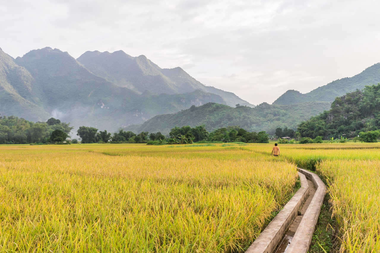 Paysage de la vallée de Mai Chau au Vietnam