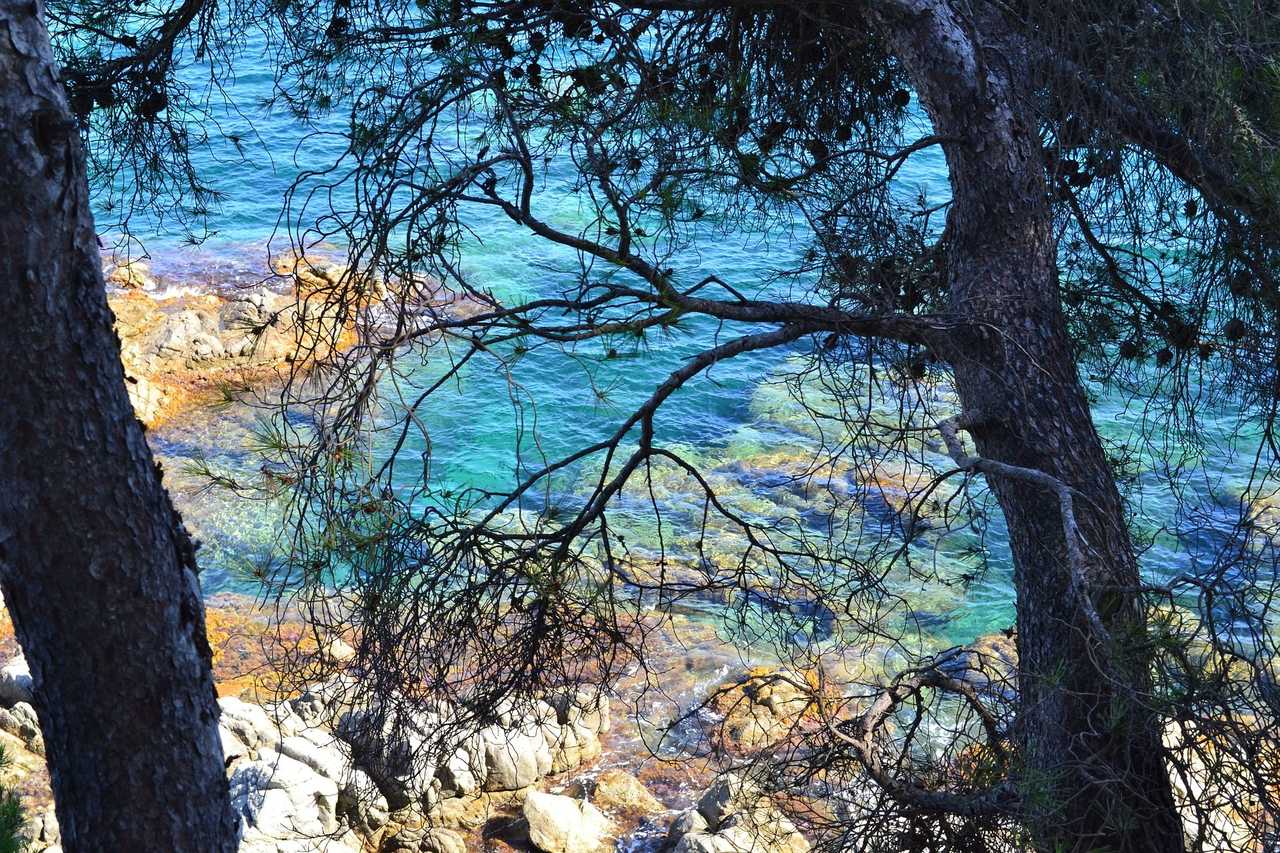 Paysage de Méditerranée le long de la Costa Brava en Espagne